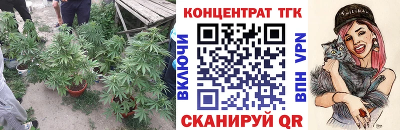 MEGA зеркало  Сосновоборск  Дистиллят ТГК THC oil 